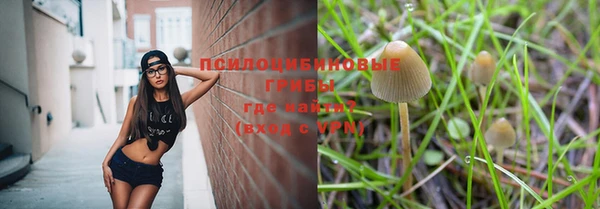 молекула духа Армянск