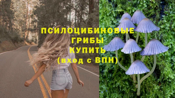 молекула духа Армянск