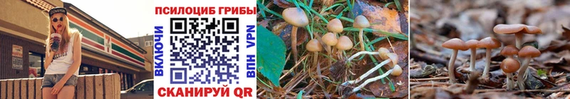 Псилоцибиновые грибы мухоморы  Темрюк 