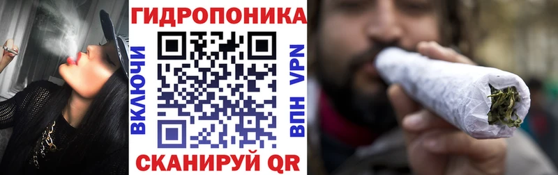 Бошки Шишки OG Kush цены Темрюк